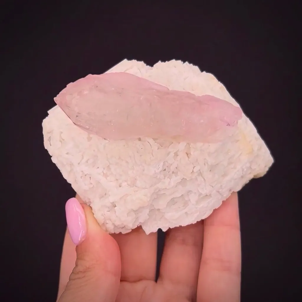 Quartz var. Rose on Albite image