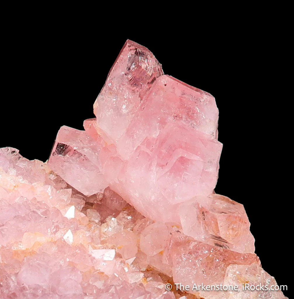 Quartz var. Rose on Quartz - image 5