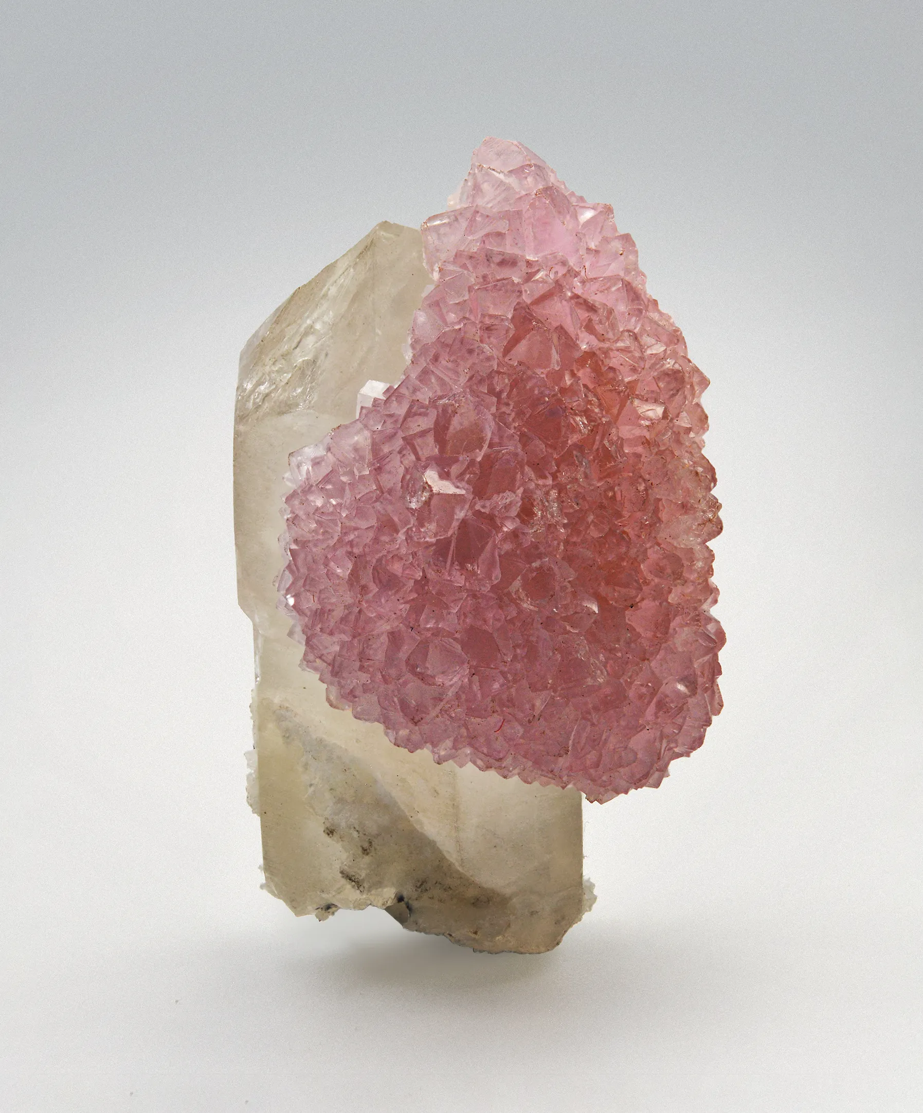 Quartz var. Rose, Quartz - image 2