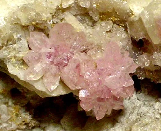 Quartz (Var: Rose Quartz), Albite - image 2