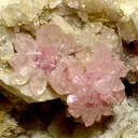 Quartz (Var: Rose Quartz), Albite - image 2