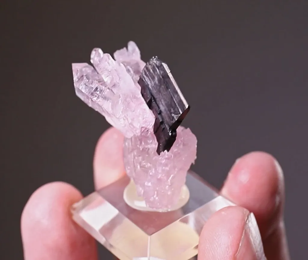 Quartz var. Rose Quartz with Columbite - image 2