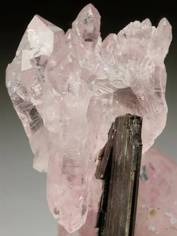Quartz var. Rose Quartz with Columbite image