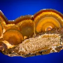 Quartz var. "Sagenite" Agate - image 2