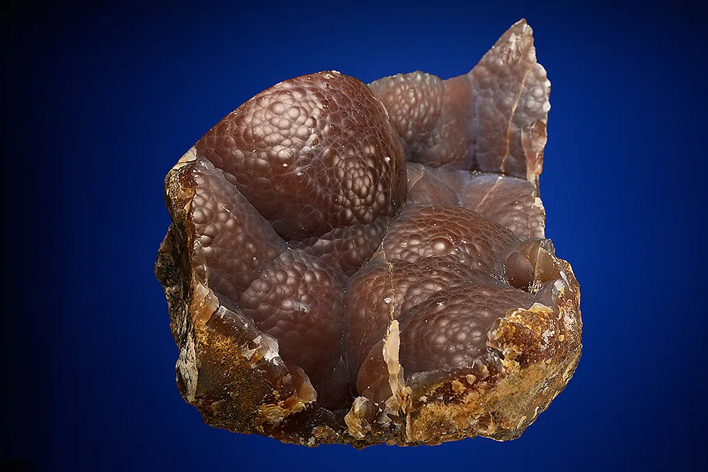 Quartz var. "Sagenite" Agate - image 3