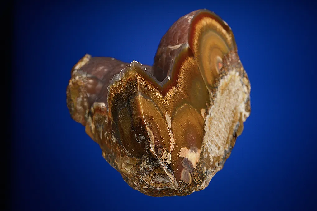 Quartz var. "Sagenite" Agate - image 5