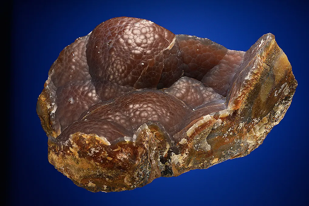 Quartz var. "Sagenite" Agate - image 4