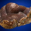 Quartz var. "Sagenite" Agate - image 4