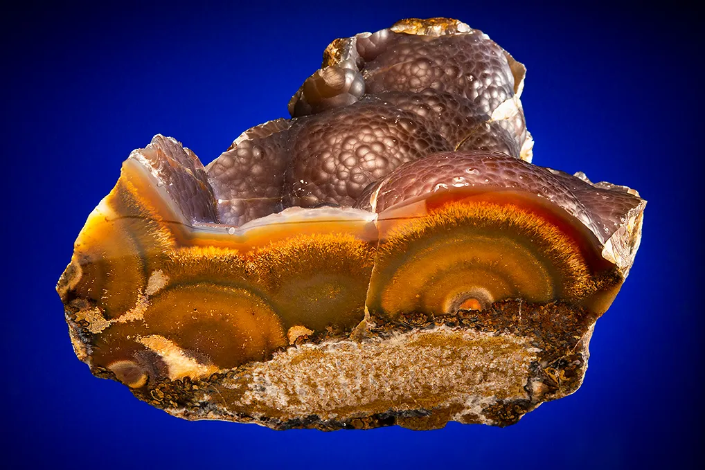 Quartz var. "Sagenite" Agate image