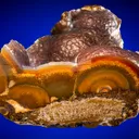 Quartz var. "Sagenite" Agate - image 1