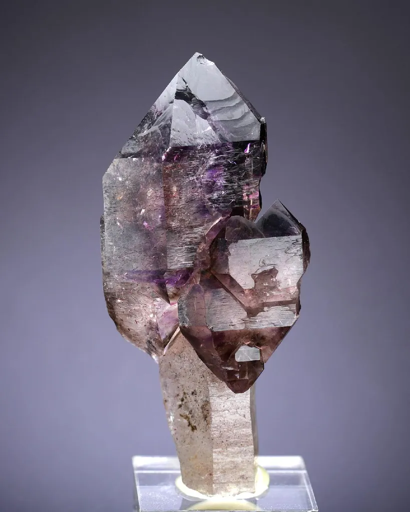 Quartz var. Sceptre Amethyst image