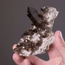 Quartz Var. SMOKY - image 2