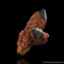 Quartz var. Smoky and Spessartine - image 2