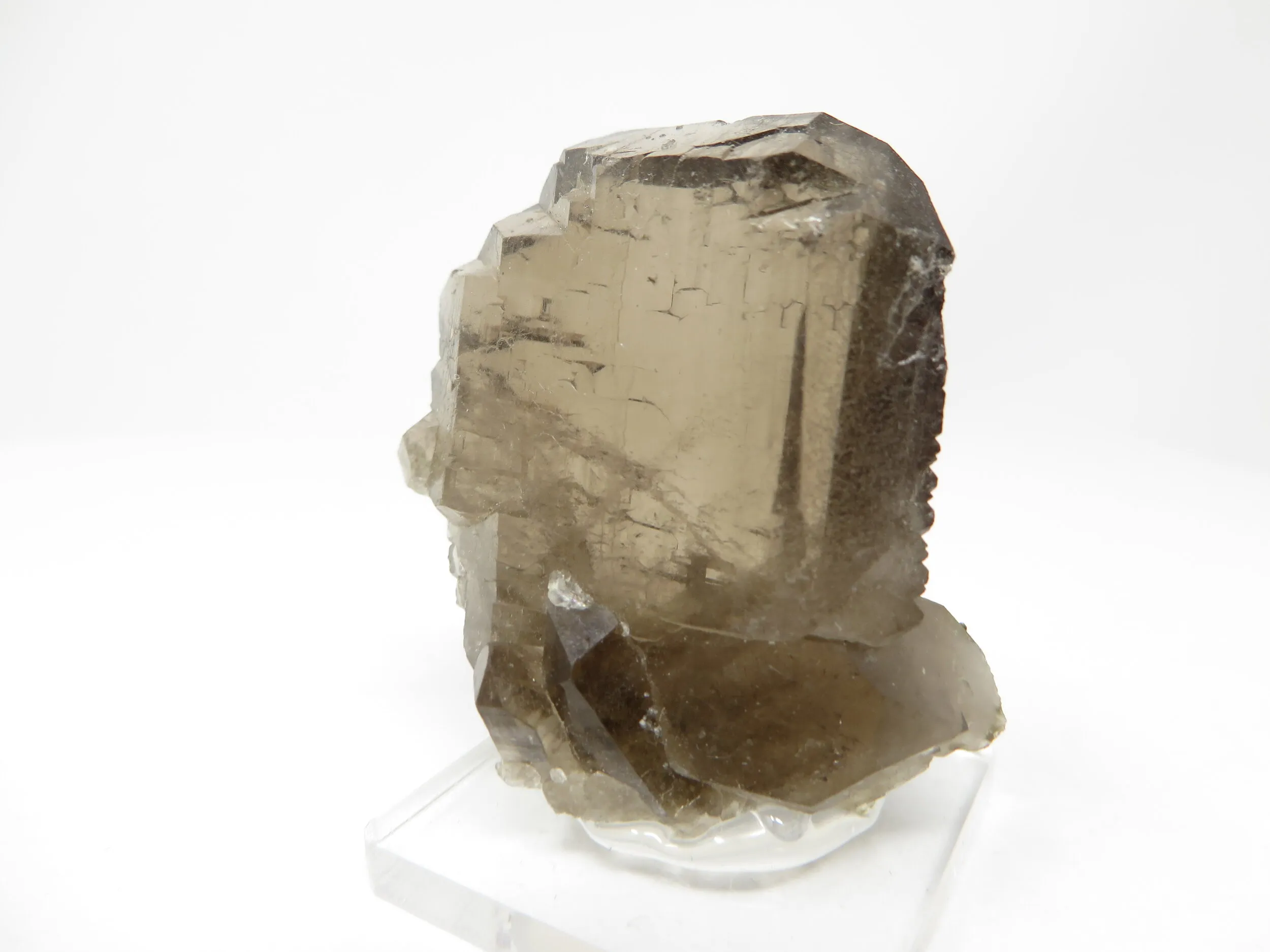 Quartz var Smoky  Gwindel - image 5