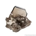 Quartz var. Smoky (Japan Law Twin) - image 3