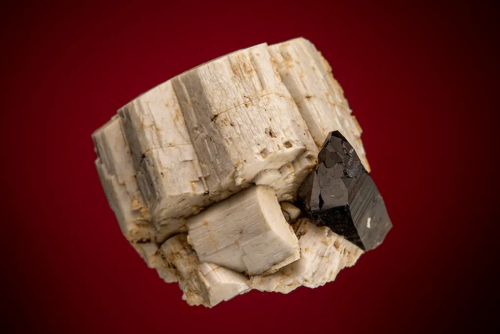 Quartz var. Smoky on Microcline image