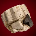 Quartz var. Smoky on Microcline - image 1