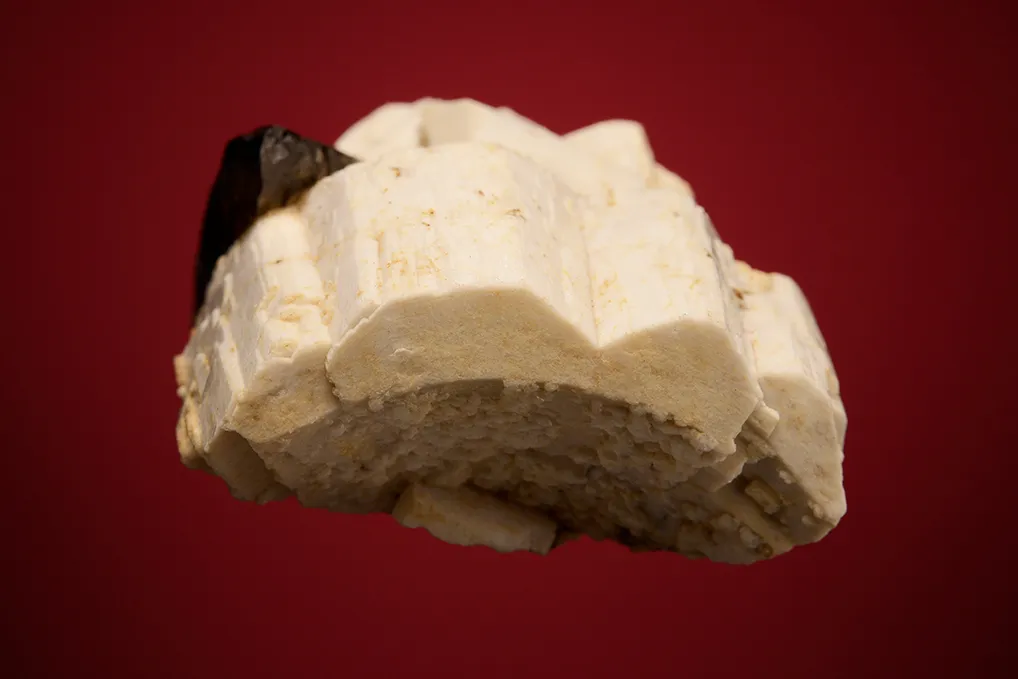 Quartz var. Smoky on Microcline - image 4