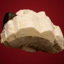 Quartz var. Smoky on Microcline - image 4