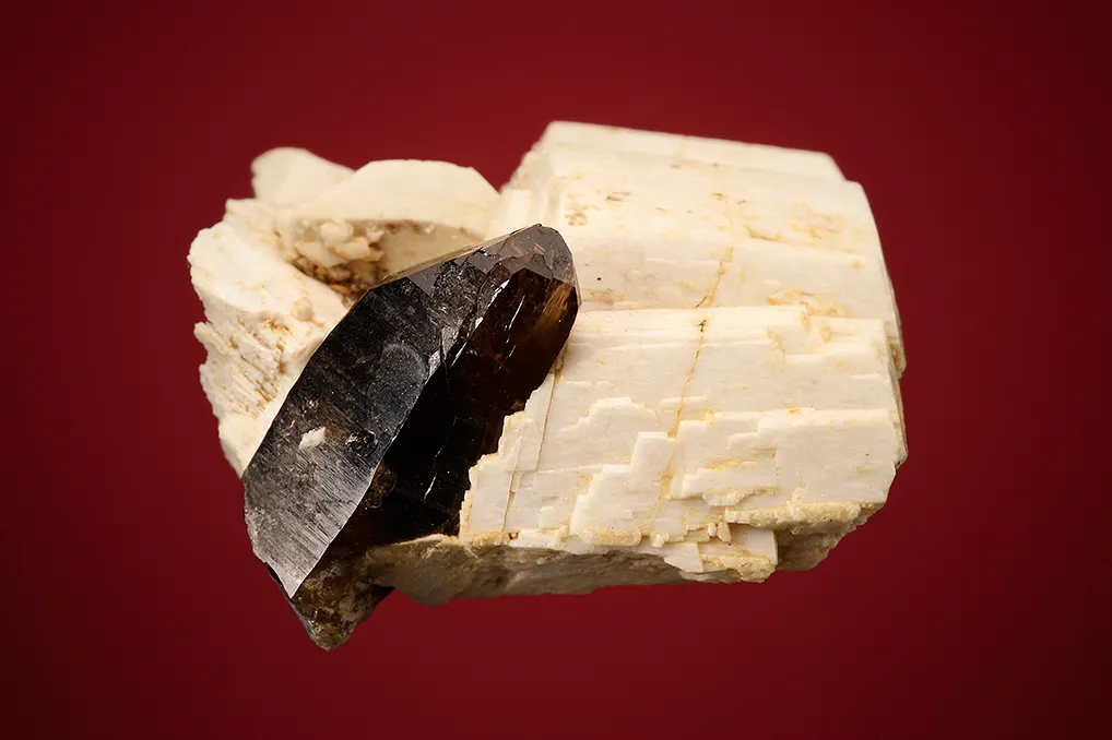 Quartz var. Smoky on Microcline - image 3
