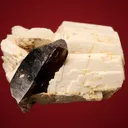 Quartz var. Smoky on Microcline - image 3