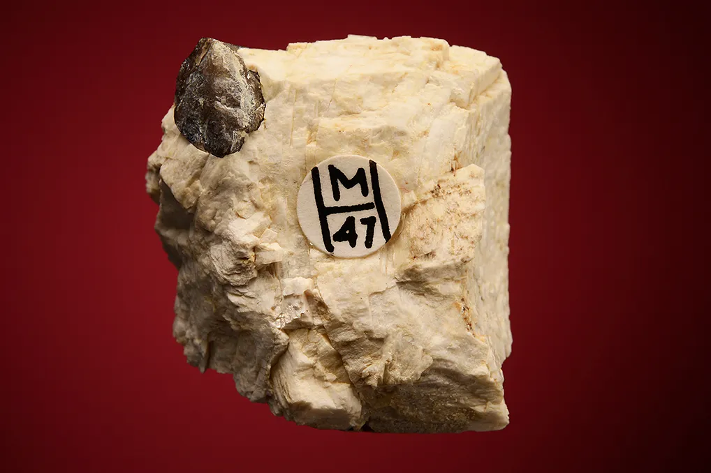 Quartz var. Smoky on Microcline - image 2