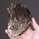 Quartz Var. Smoky Quartz - image 2