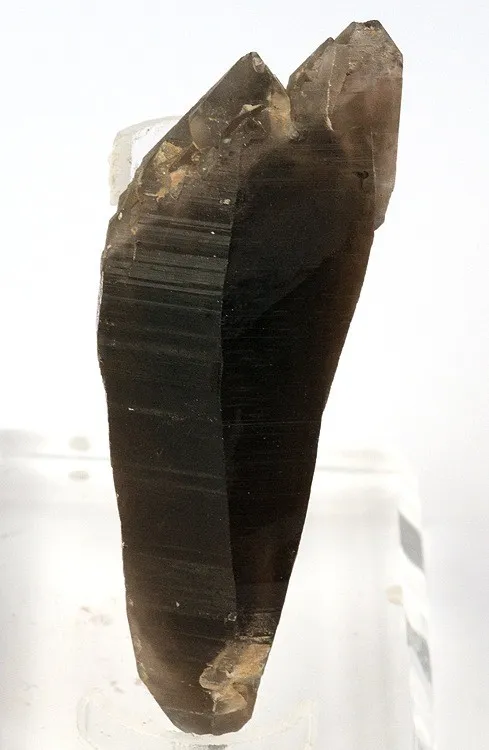 Quartz (Var: Smoky Quartz) image