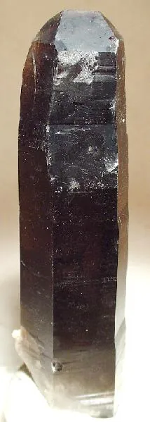 Quartz (Var: Smoky Quartz) image