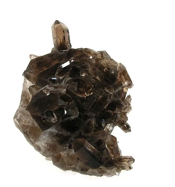 Quartz (Var: Smoky Quartz) image