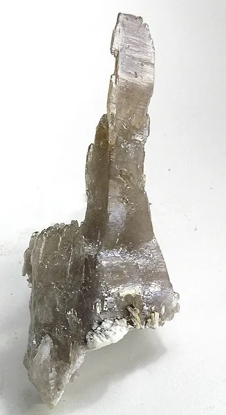 Quartz (Var: Smoky Quartz) image