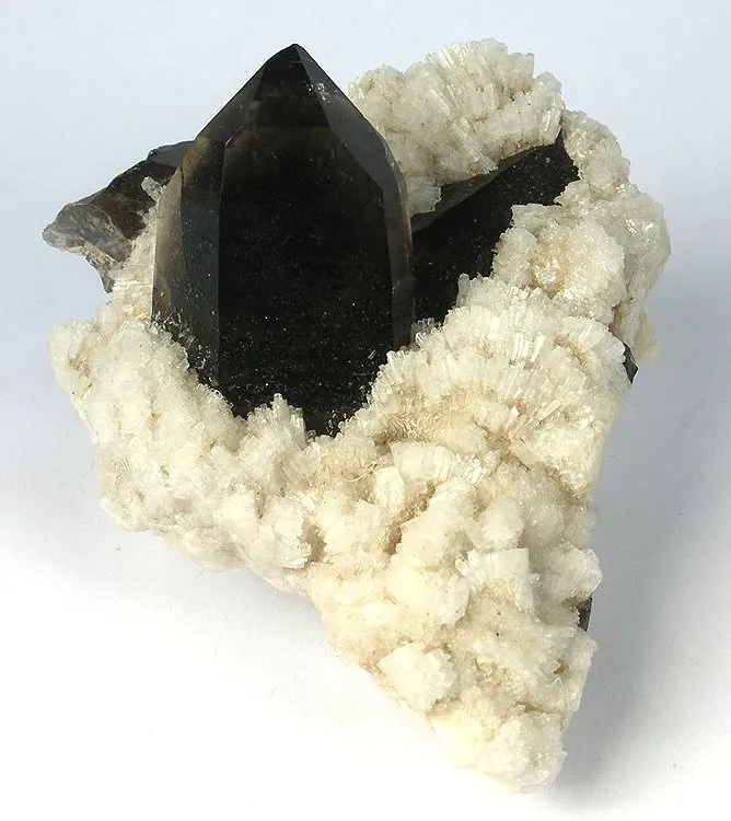 Quartz (Var: Smoky Quartz), Albite (Var: Cleavelandite) image