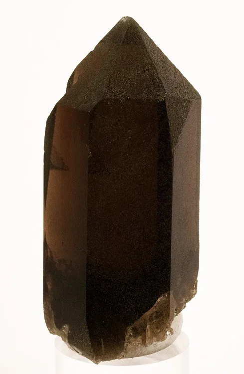 Quartz (Var: Smoky Quartz), Chlorite Group image