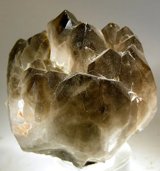 Quartz (Var: Smoky Quartz) image