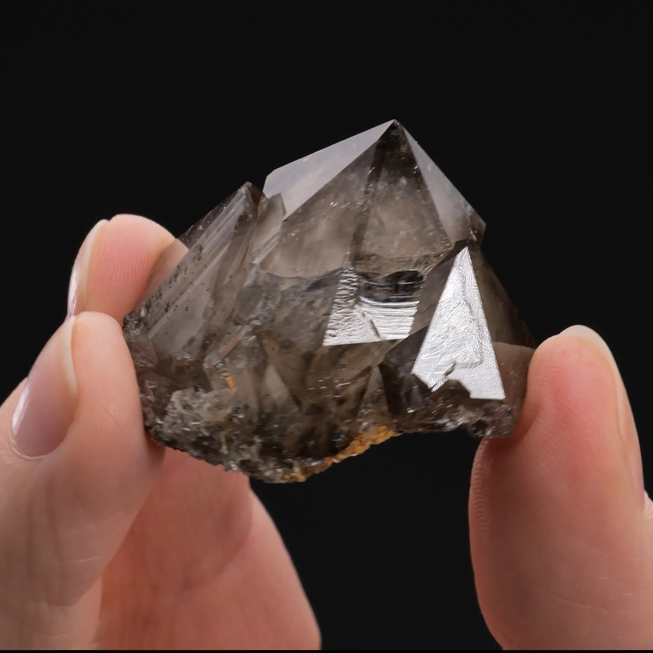 Quartz var. Smoky Quartz - image 2
