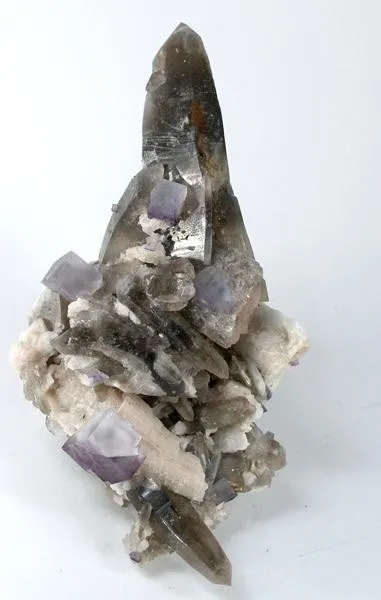 Quartz (Var: Smoky Quartz), Fluorite, Microcline image