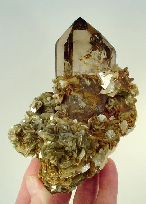 Quartz (Var: Smoky Quartz), Muscovite image