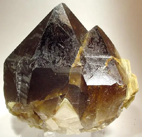 Quartz (Var: Smoky Quartz), Muscovite image