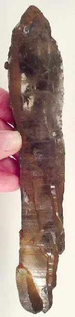 Quartz (Var: Smoky Quartz), Phenakite image