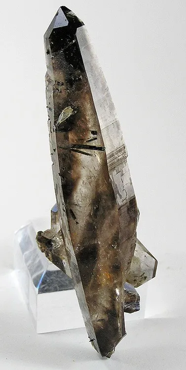 Quartz (Var: Smoky Quartz), Schorl image