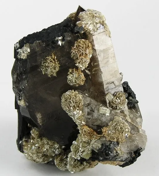 Quartz (Var: Smoky Quartz), Schorl, Muscovite - image 1