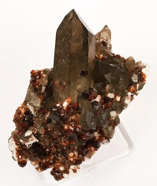 Quartz (Var: Smoky Quartz), Spessartine image