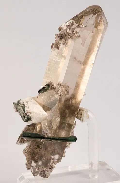 Quartz (Var: Smoky Quartz), Tourmaline (Var: Indicolite) image