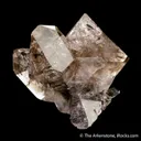 Quartz var. Smoky (Scepter) - image 4