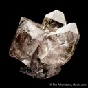 Quartz var. Smoky (Scepter) - image 5