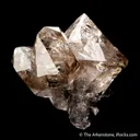 Quartz var. Smoky (Scepter) - image 3