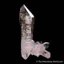 Quartz var. Smoky (Scepter, Enhydro) - image 4