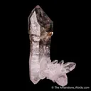 Quartz var. Smoky (Scepter, Enhydro) - image 5