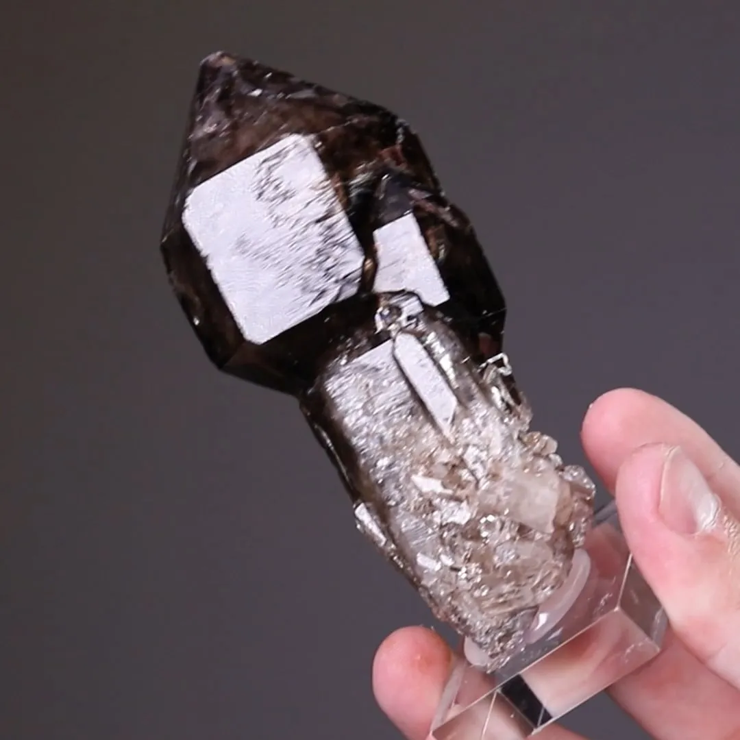 Quartz var. Smoky Sceptre Quartz - image 2