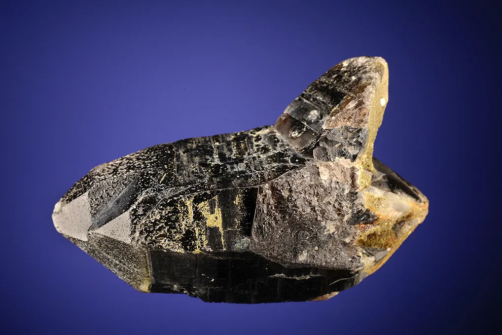 Quartz var. Smoky (twin?) - image 3